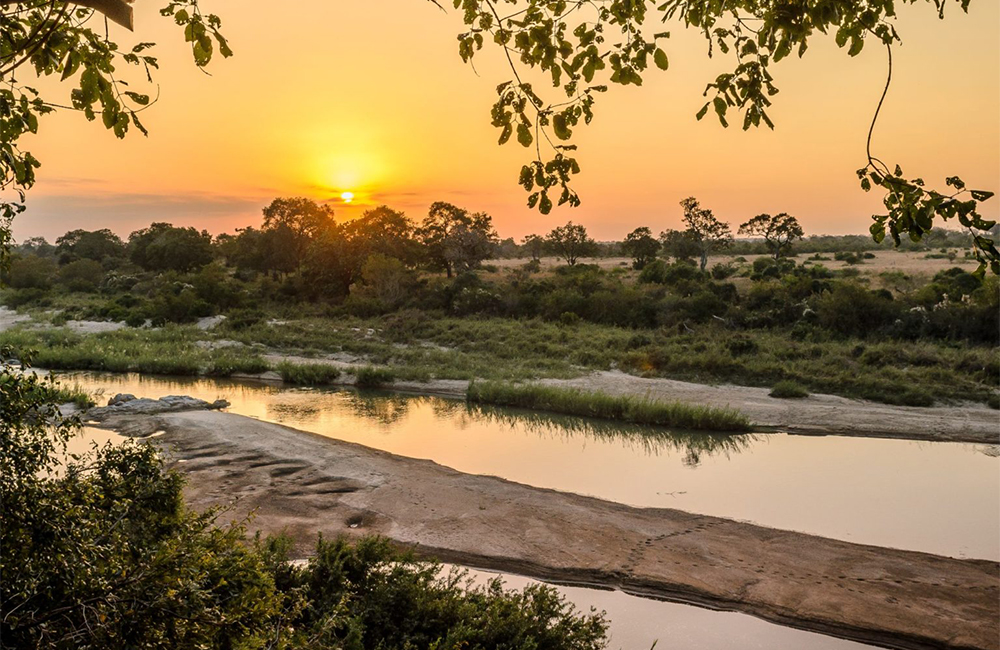 <h3>Best Time to Go on Safari in the Kruger National Park</h3>