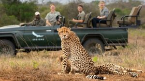 safari-etiquette-and-rules
