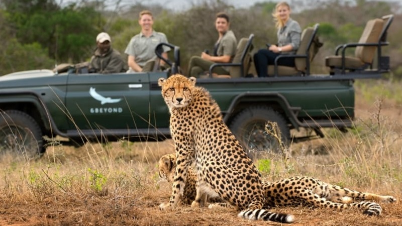 safari-etiquette-and-rules