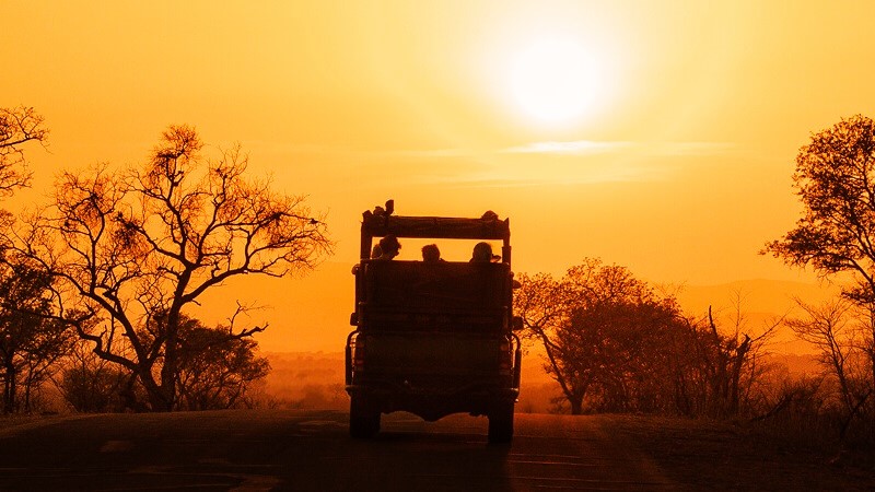 safari-questions-and-answers