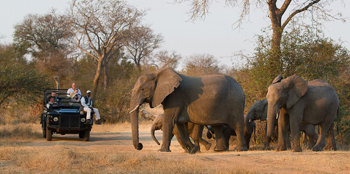 Kruger-National-Park