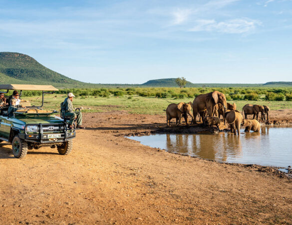 92ED6743-2B45-4478-A723-09614B78C0B8