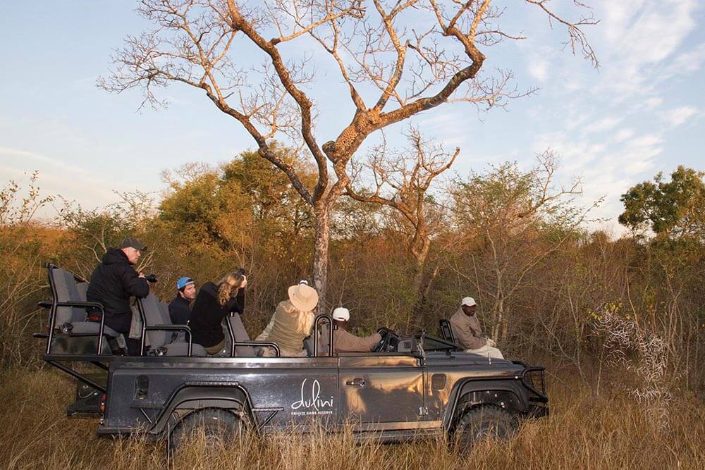 Sabi Sands