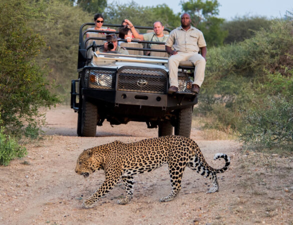 Kapama-Game-Reserve-1-1