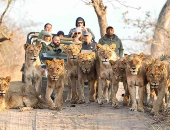 Rectangle 8_grid_last (1)