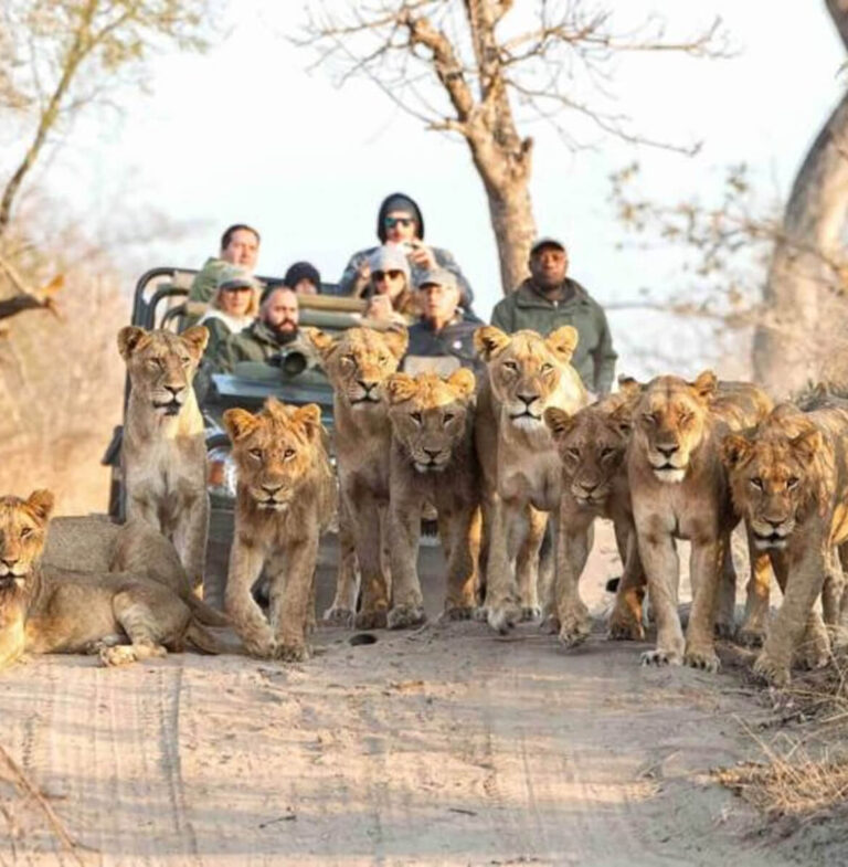 Rectangle 8_grid_last (1) Rectangle 8_grid_last (1)