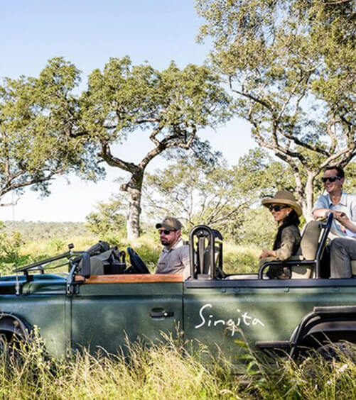 <h3>Kids on safari</h3>