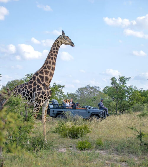 <h3>Discover South Africa’s Best Private Game Reserves</h3>