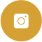 insta-icon