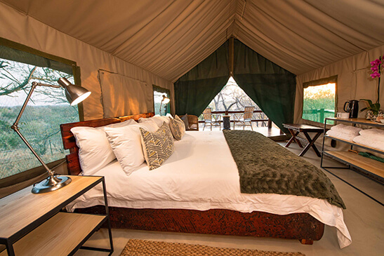 Luxury-tents-Sausage-Tree-2