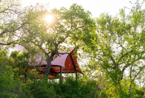 Royal-Malwane-Masiyas-Camp-6