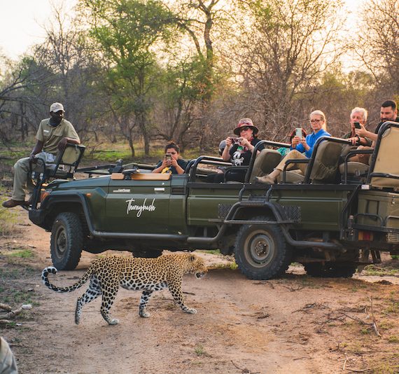 Thornybush-Game-Lodge-Main-Gallery-6