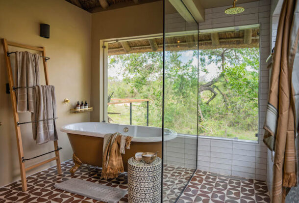 Thornybush-game-Lodge-6