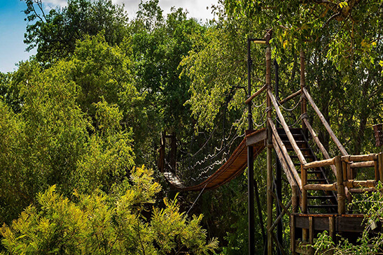 Treehouse-suite-Safari-Lodge-3