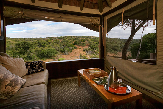 Amakhala-Safari-Lodge-suite-3