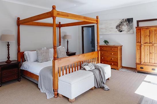 Family-Suite-Cheetah-Ridge-2