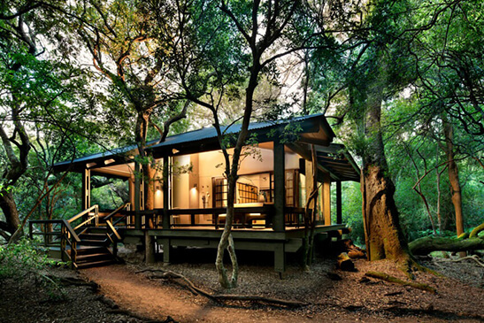 Forest-Lodge-Luxury-suite-2