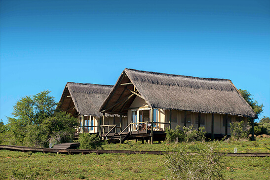 Gorah-Tented-Suites-1