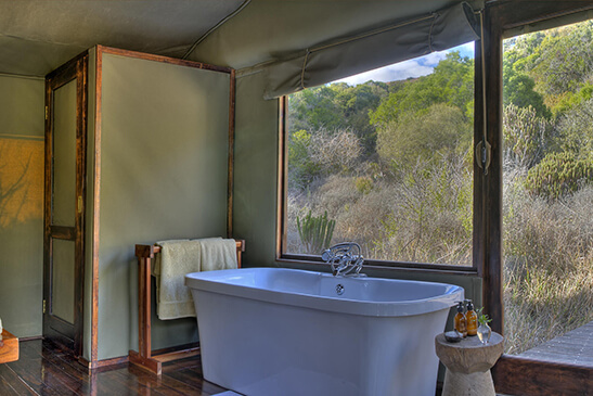 HillsNek-Safari-Camp-family-tent-3