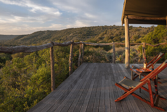 HillsNek-Safari-Camp-family-tent-4