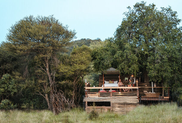 Jacis-Naledi-Treehouse-suites-1