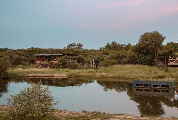 Jacis-Naledi-Treehouse-suites-3
