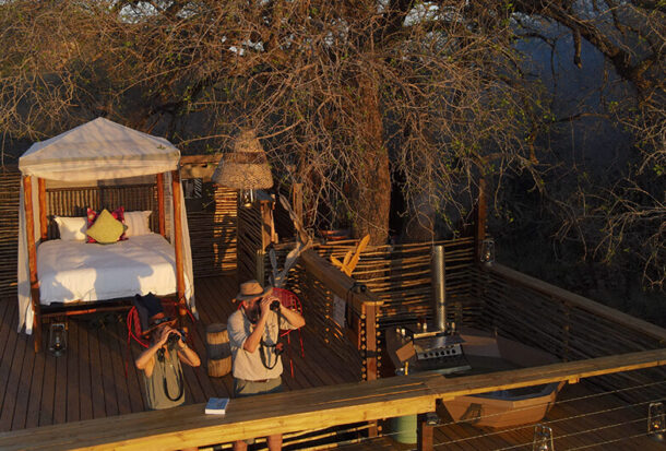 Jacis-Naledi-Treehouse-suites-4