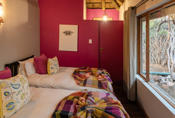 Jacis-Safari-Suite-1-1