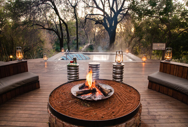 Jacis-Safari-Suite-3-1