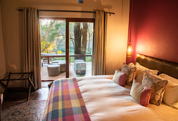 Jacis-Safari-Suite-5-1