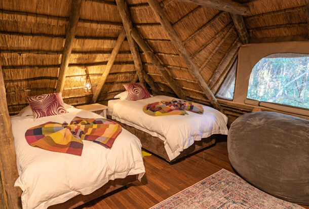 Jacis-Safari-Suite-6-1