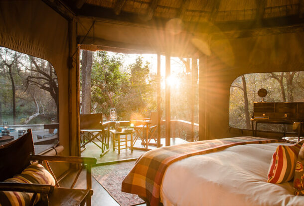 Jacis-Safari-Suite-8-1