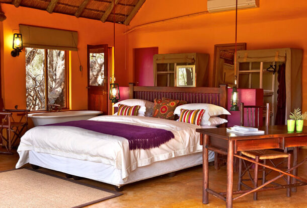 Jacis-Safari-Suite-9-1