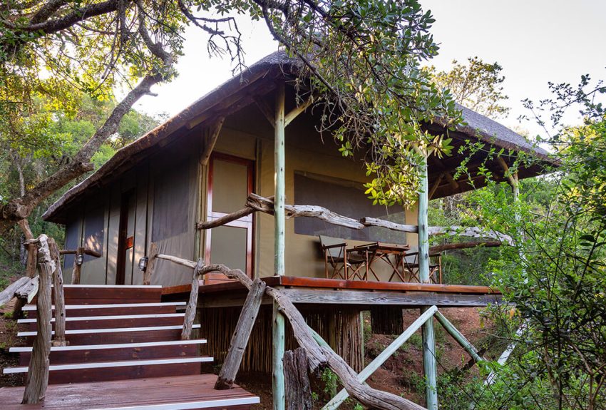 Luxury-Safari-Tents-8-1