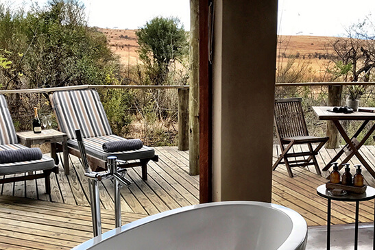 Luxury-Suite-Nambiti-Plains4