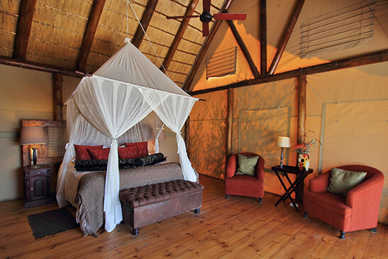 Luxury-Tented-Suite_2-1