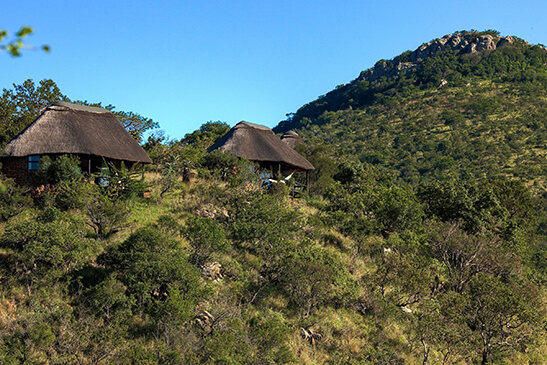 Luxury-suite-Leopard-Mountain-2