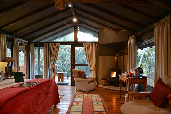 SGR-Forest-Camp-tent-interior-8.