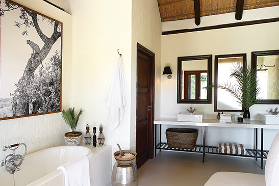 Tree-Camp-Luxury-suites-2