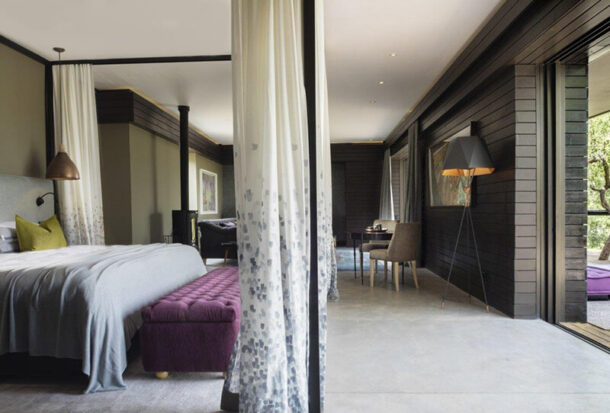 Tree-Wisteria-Suite-3