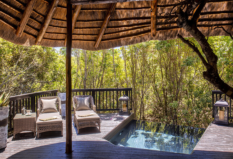 Bush-Facing-Suites-4