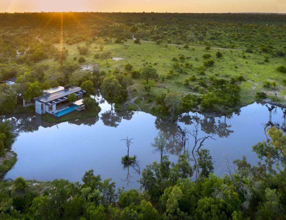 Cheetah-Plains-banner