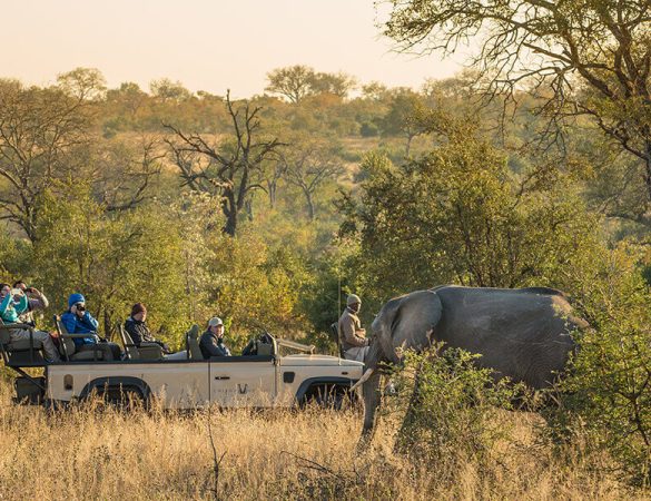 Chitwa-Chitwa-Itinerary-6