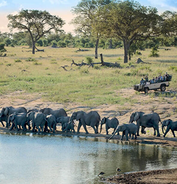 Chitwa Chitwa Safari Lodge, Cape Town & Winelands