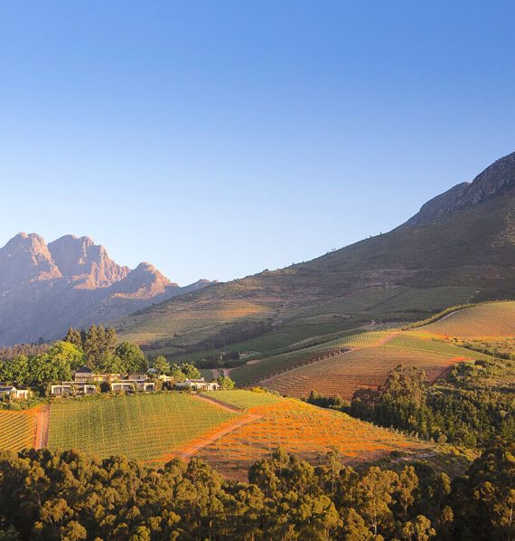 Delaire-Graff-Estate-2