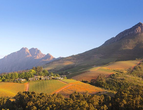 Delaire-Graff-Estate-2