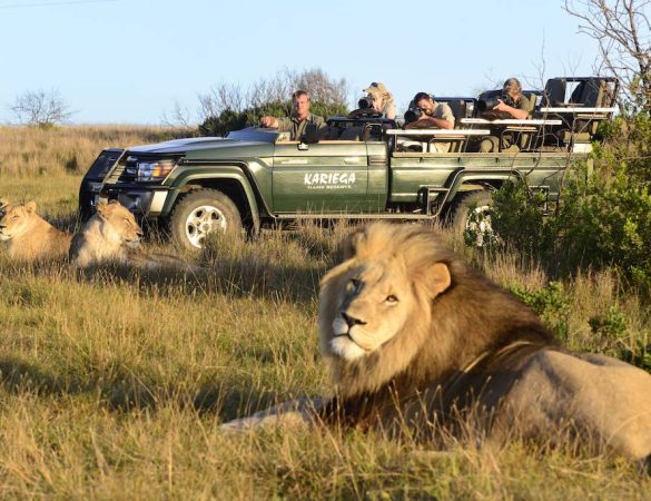 Kariega-Game-Reserve