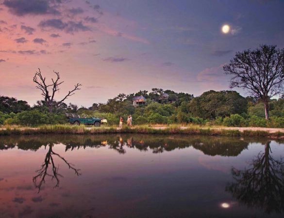 Leopard-hills-banner