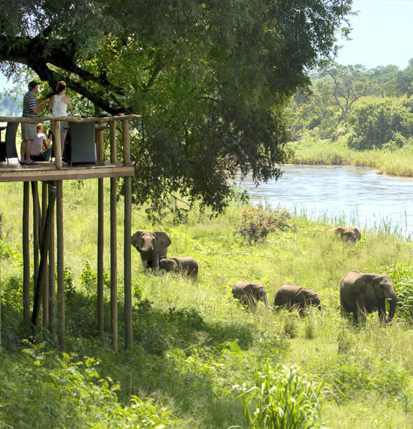 Lion Sands Narina Lodge, Cape Town & Winelands