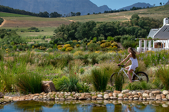 One-bed-Fynbos-cottage-5